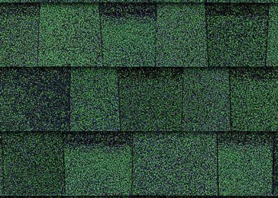 TruDefinition™ Duration® Shingle Chateau Green