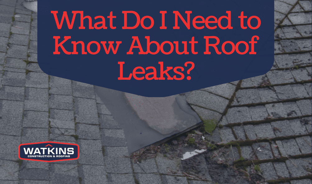 What-Do-I-Need-to-Know-About-Roof-Leaks?