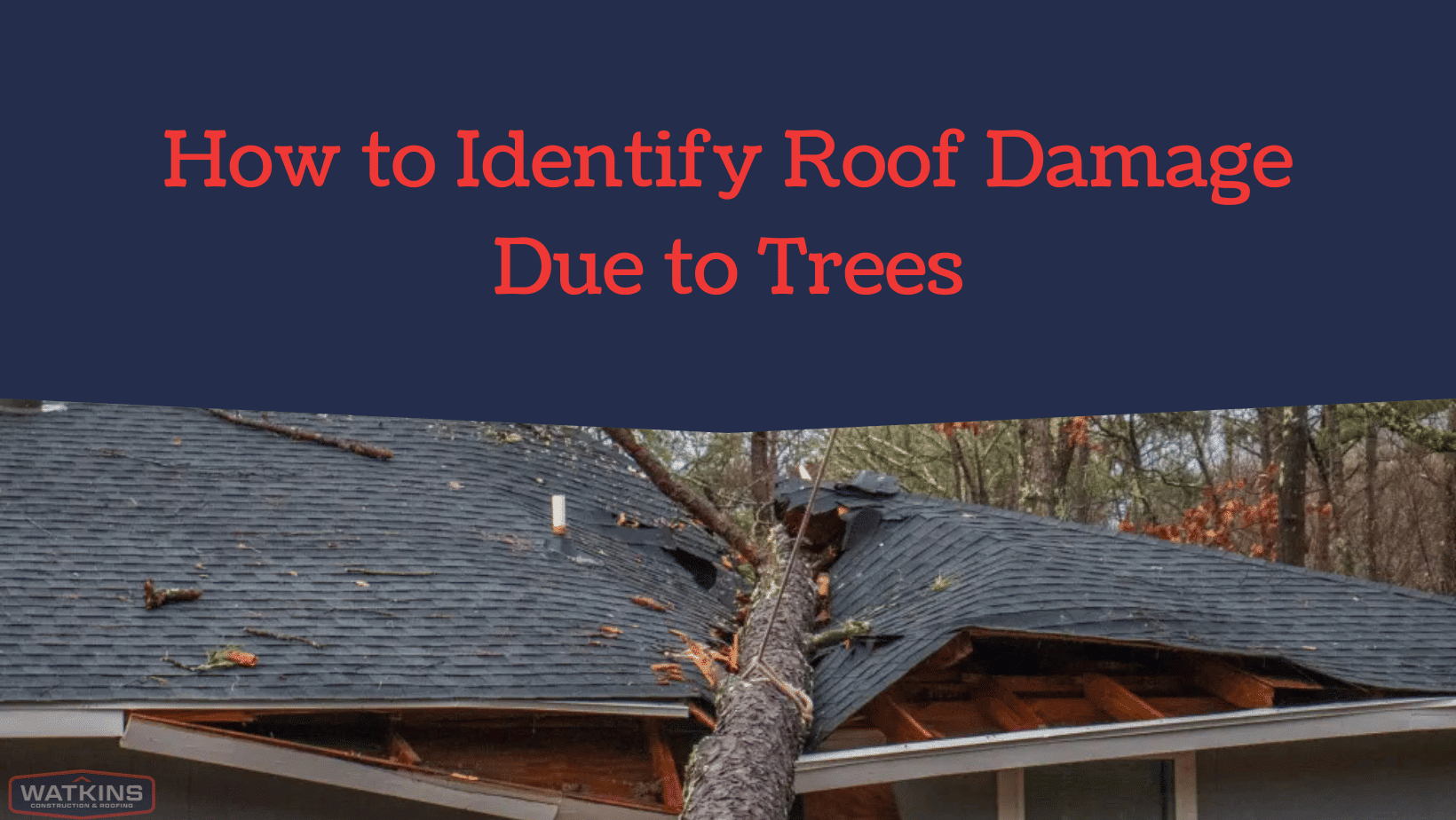 How-to-Identify-Roof-Damage-Due-to-Trees